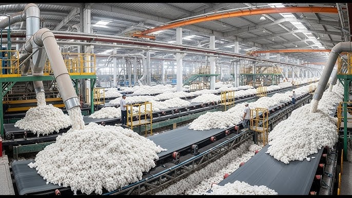 Crinkle Cotton Fabric industry insight