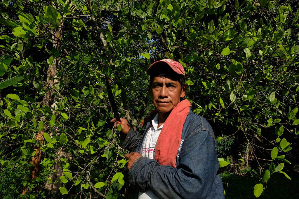 Crisis and Opportunity