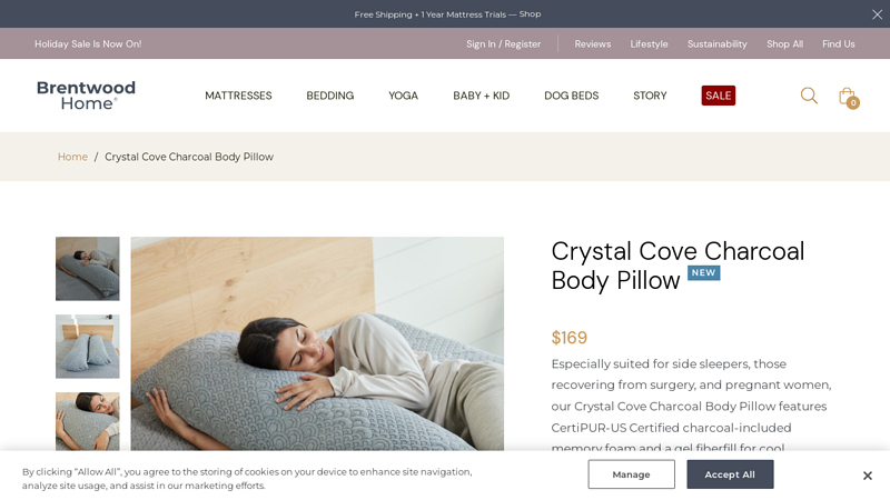 Crystal Cove Charcoal Body Pillow