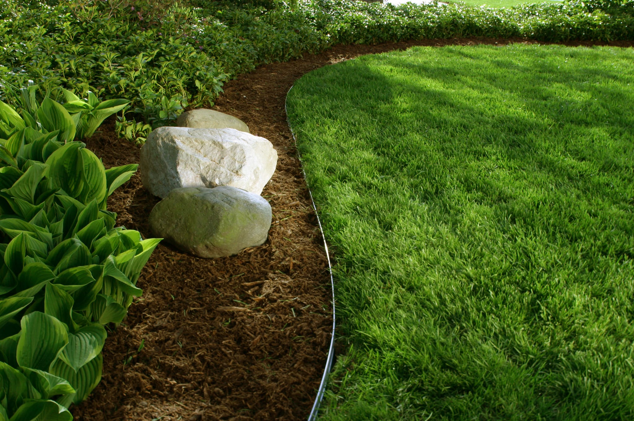 Curved Landscape Edging industry insight