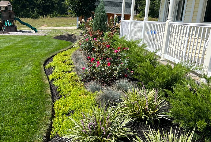 Curved Landscape Edging industry insight