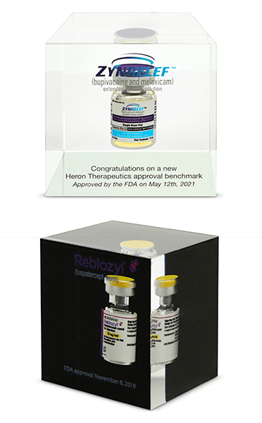 Custom Acrylic Embedment Awards