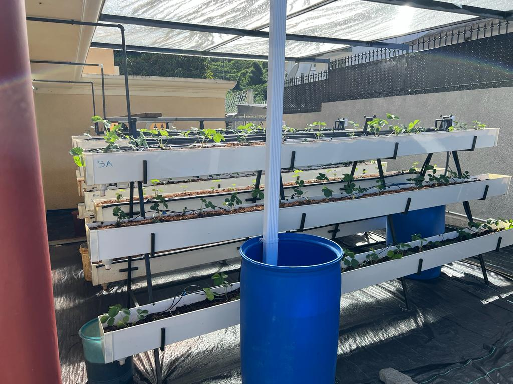 Custom Pvc Hydroponics Factory, Manufacturer