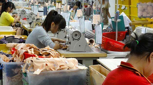 Customized Bra industry insight