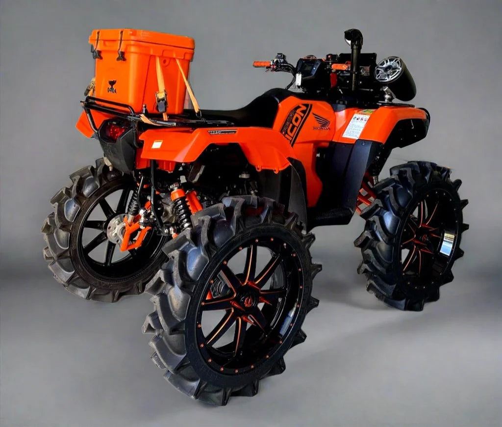 Customized Lifted 4 Wheeler industry insight