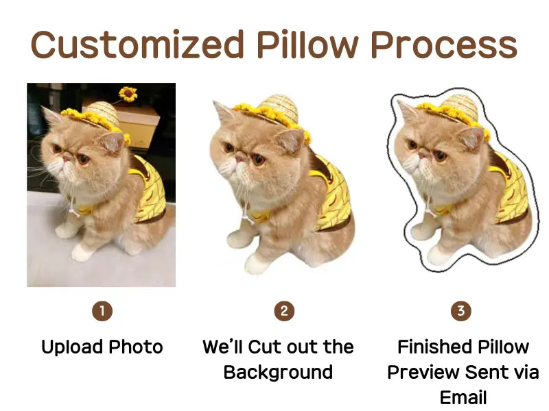 Customized Pet Pillows industry insight