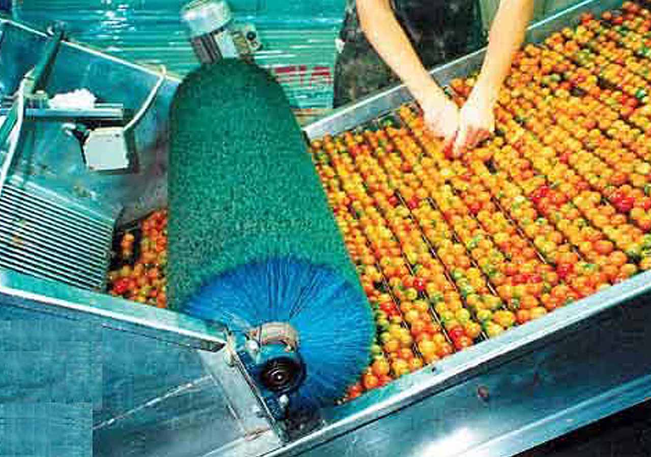 Cylinder Brush industry insight