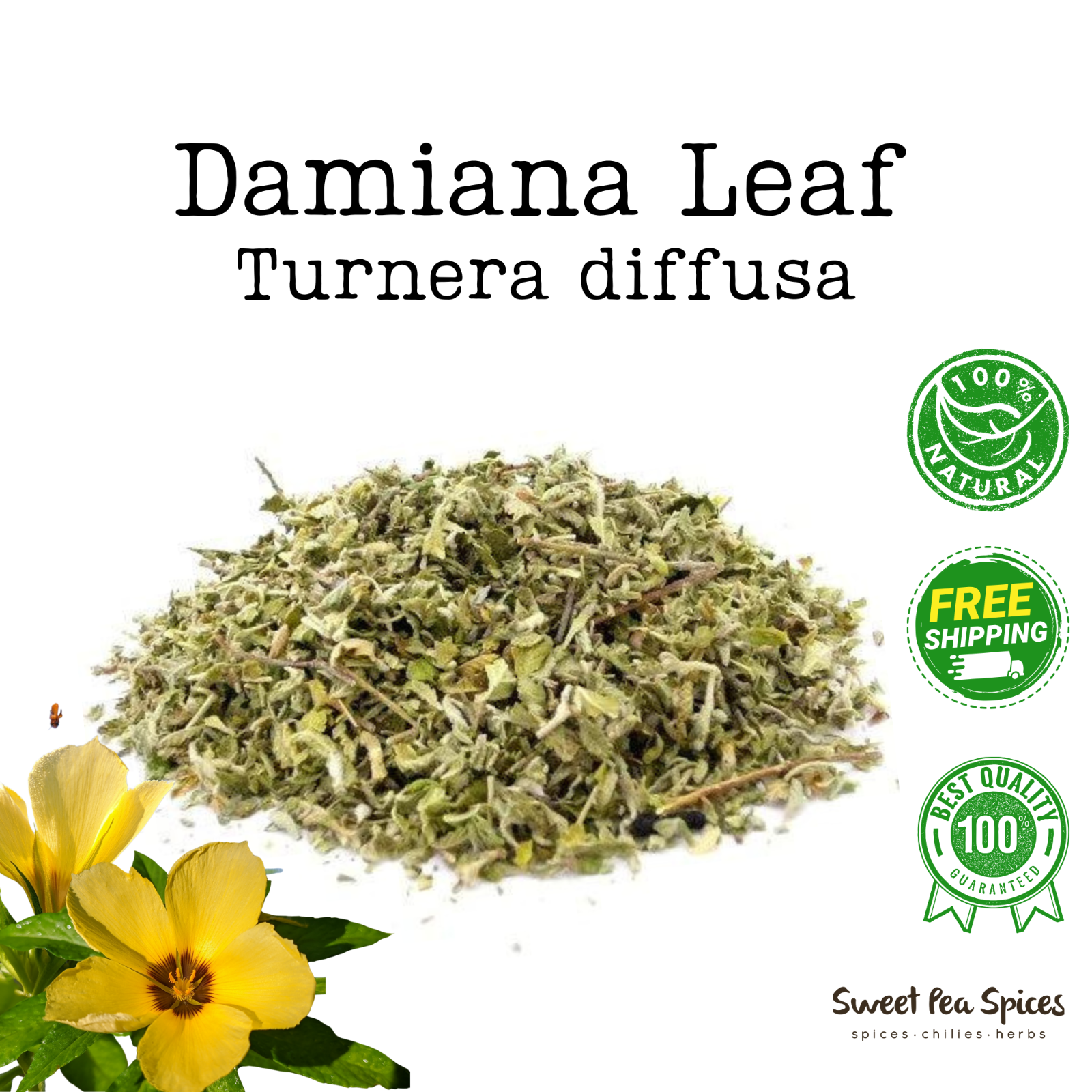 Damiana Herb in Bulk