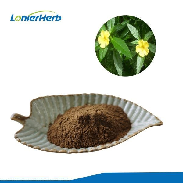 Damiana Leaf Wholesale industry insight