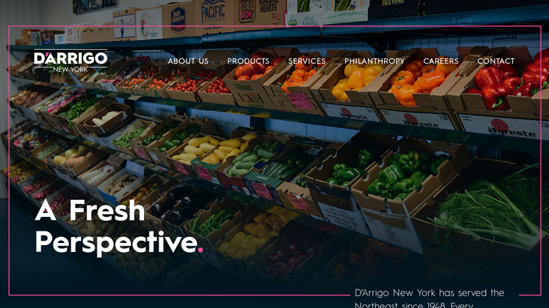 D'Arrigo New York