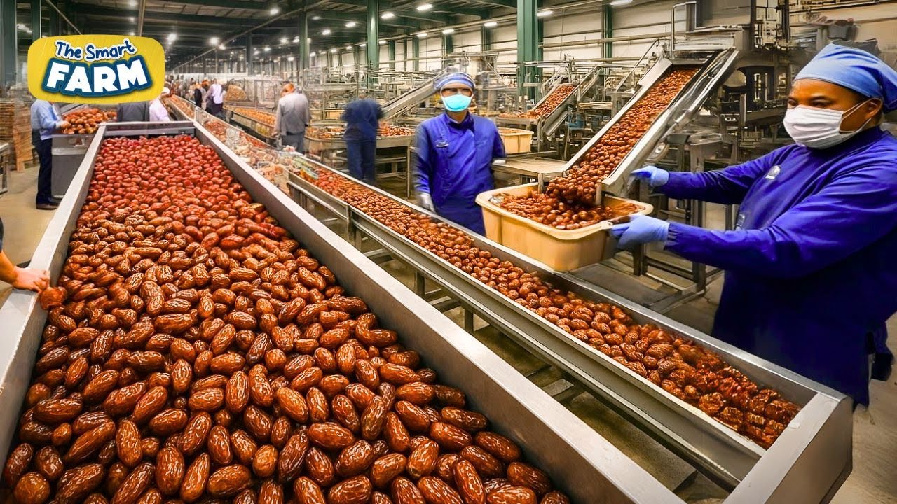 Dates Wholesale industry insight