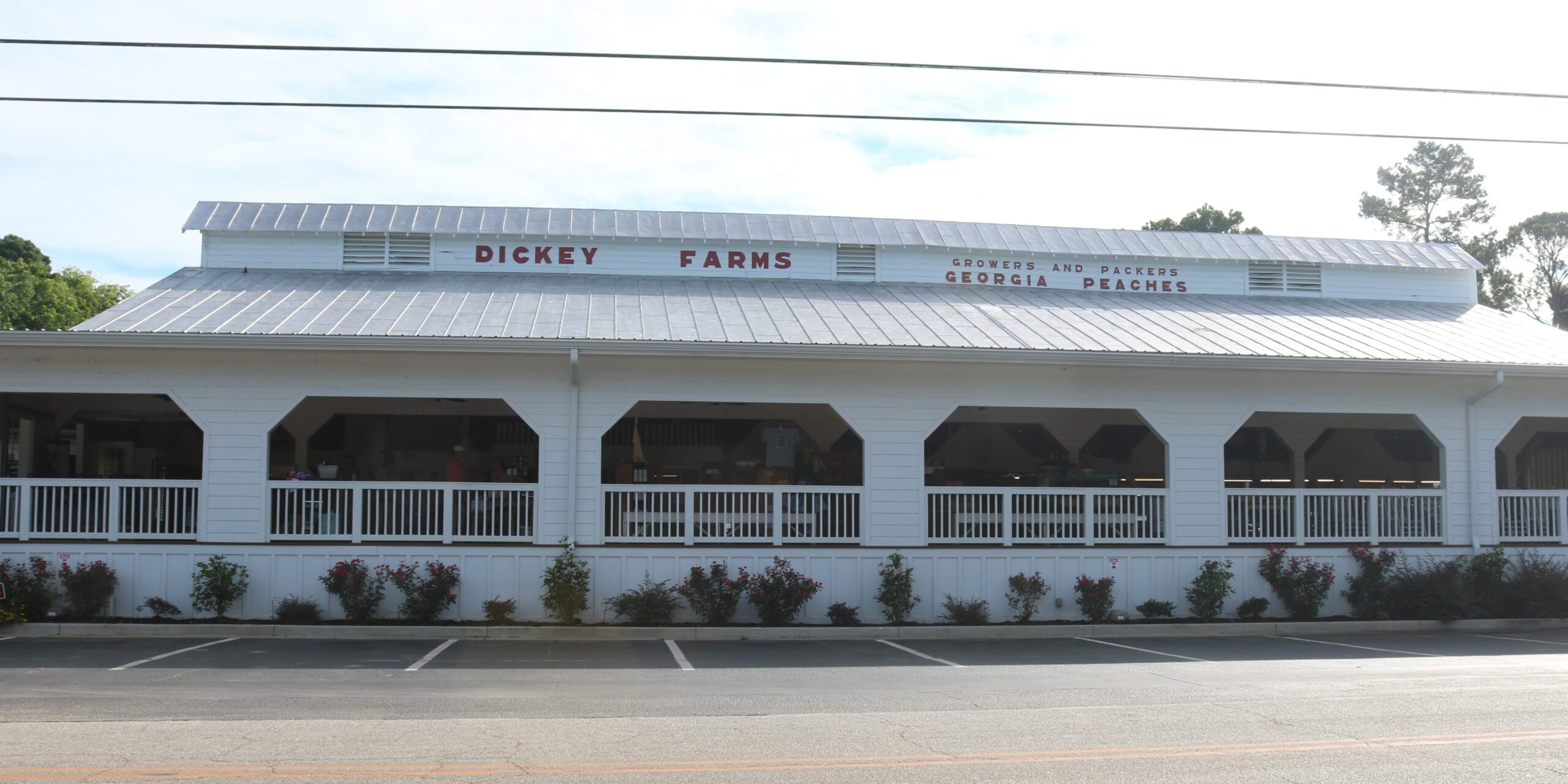 Dickey Farms
