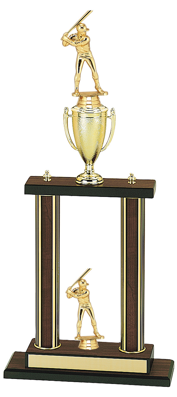 Dinn Trophy: Custom Trophies