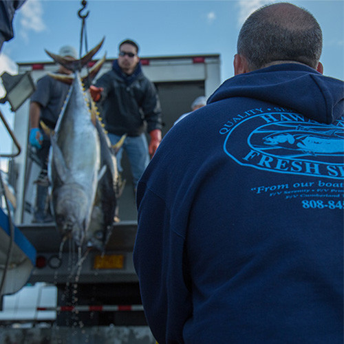 Direct Source Wholesale Hawaiian Tuna