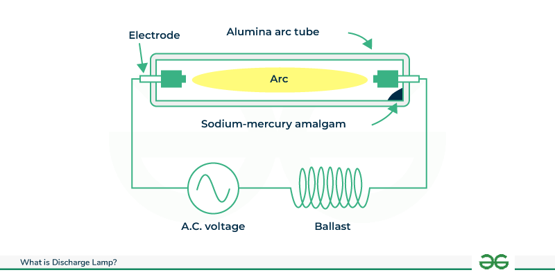 Discharge Lamp industry insight