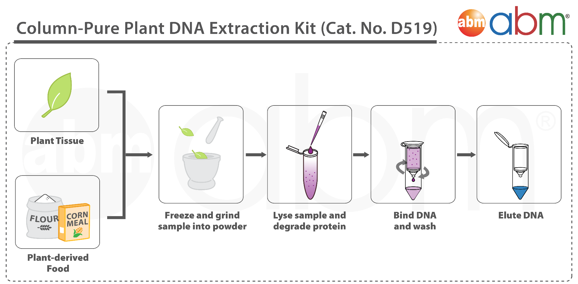 Dna Purification Kit industry insight
