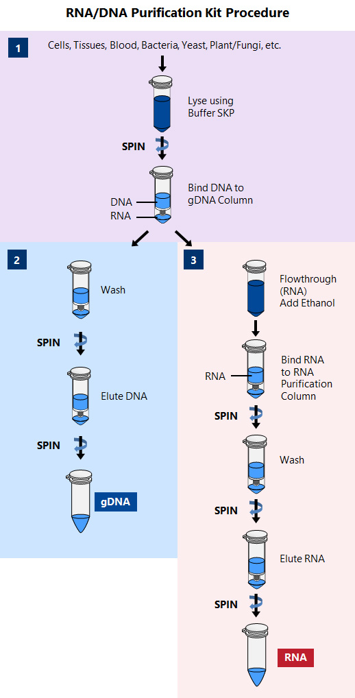 Dna Purification Kit industry insight