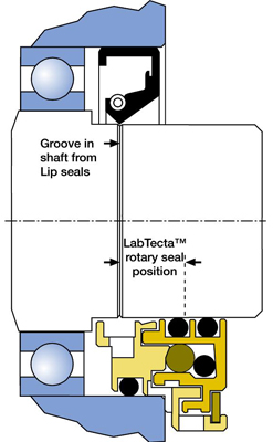 Double Lip Seal industry insight