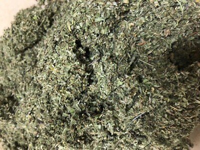 Dried Damiana in Bulk