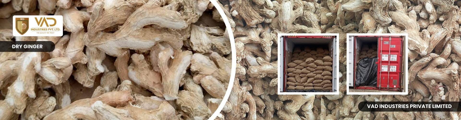 Dried Ginger Suppliers, Wholesalers, Manufacturers & Exporters