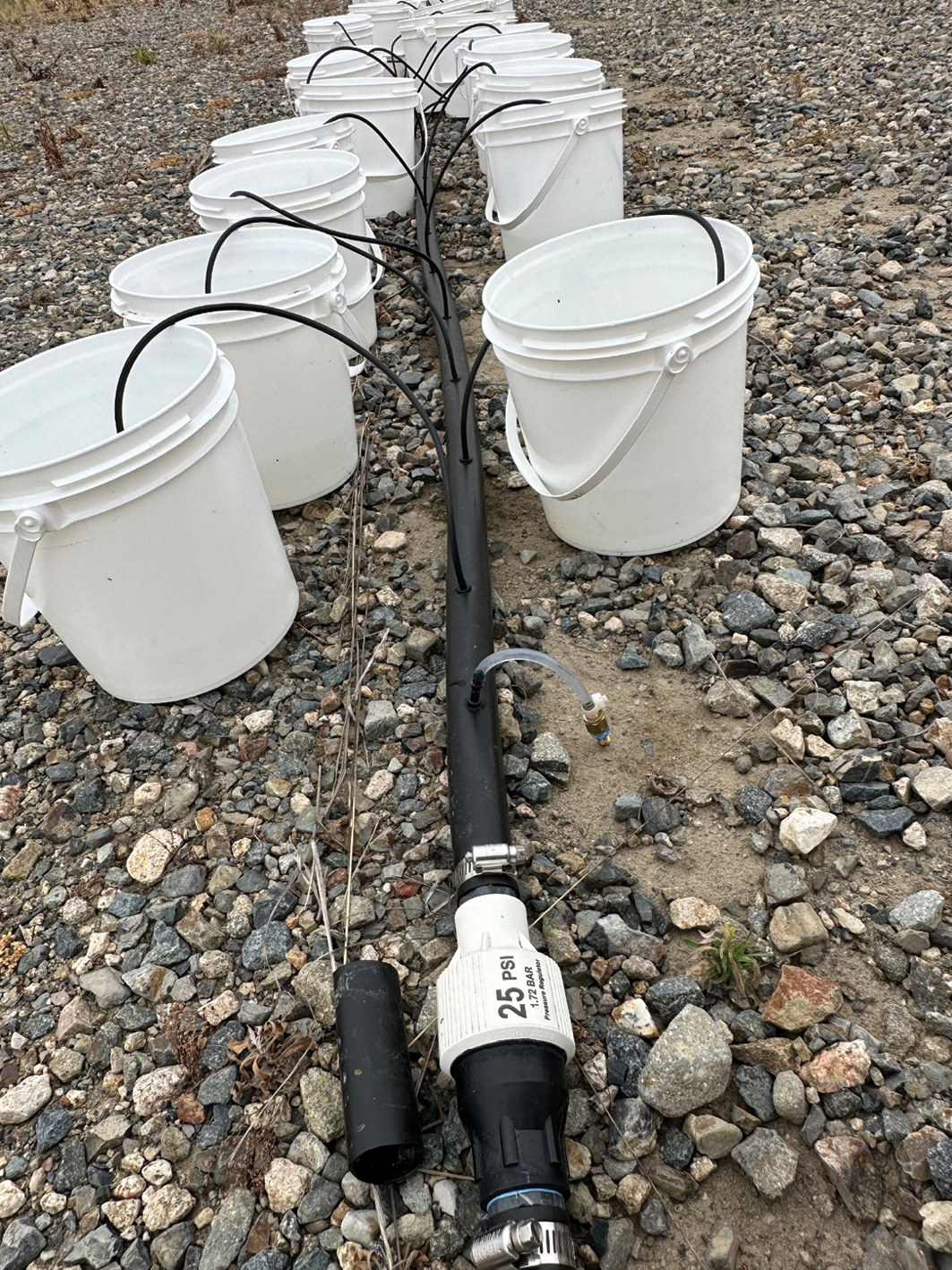 Drip Irrigation Stakes industry insight