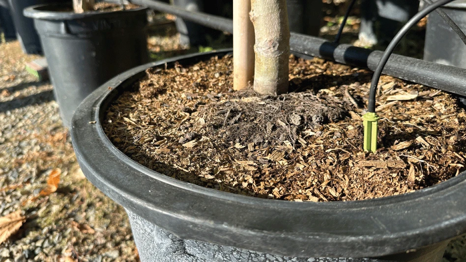 Drip Irrigation Stakes industry insight