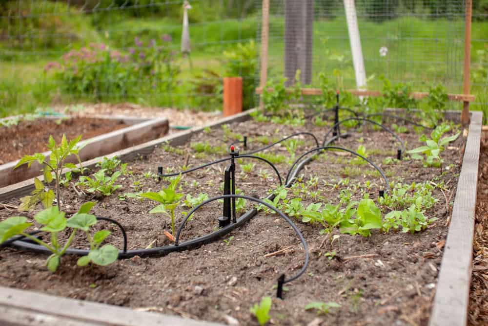 Drip Irrigation Systems