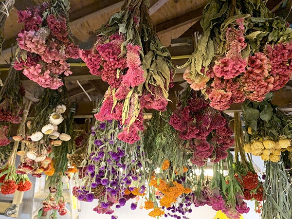 Dry Flowers Wholesale industry insight