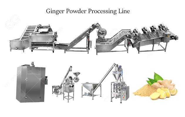 Dry Ginger Powder industry insight