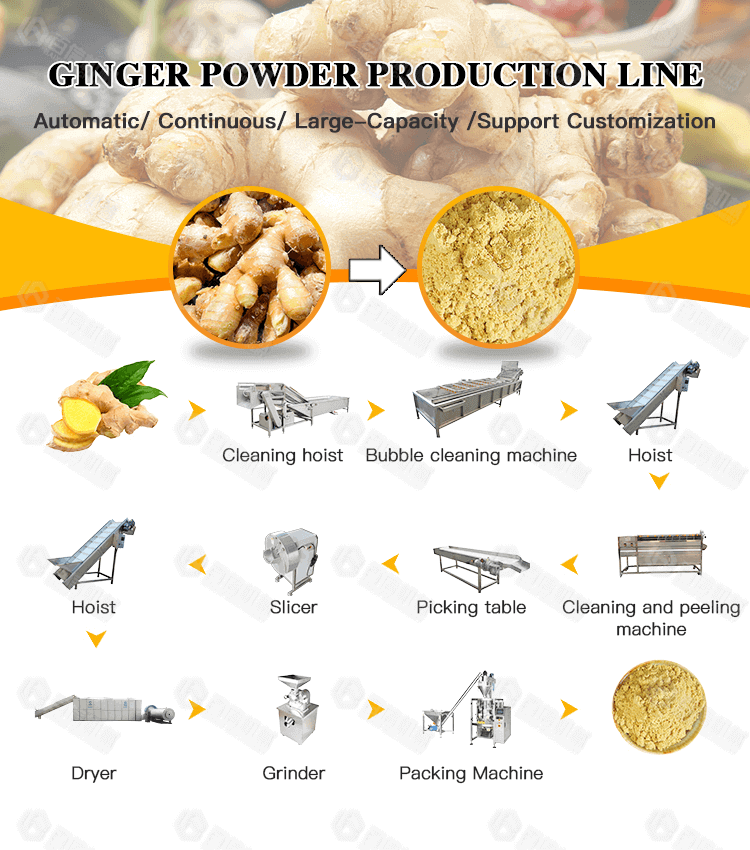 Dry Ginger Powder industry insight