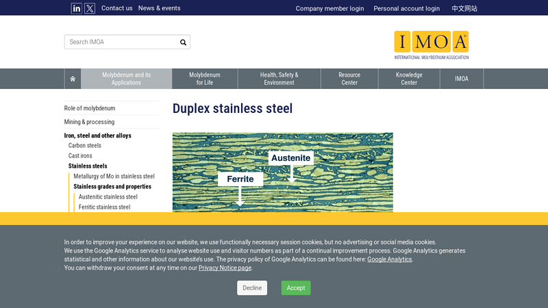 Duplex stainless steel