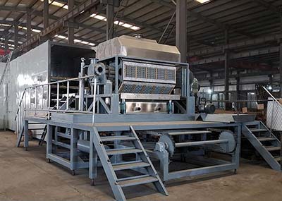 Egg Tray Wholesale industry insight