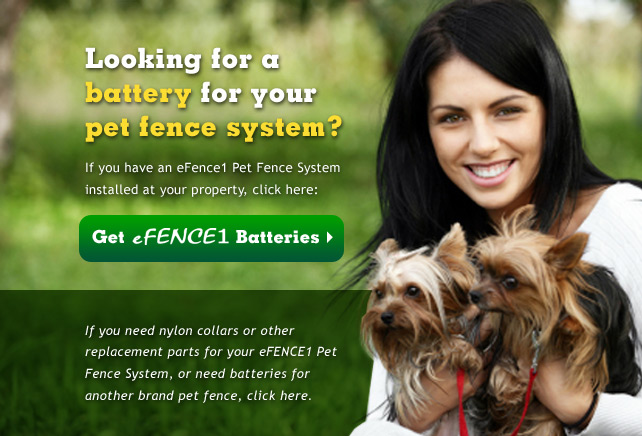 Electric Fence – eFENCE1® Pet Containment –