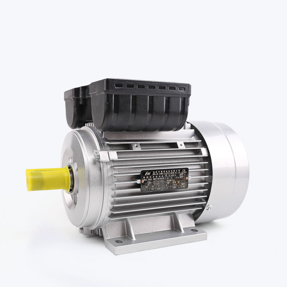 Electric Motor
