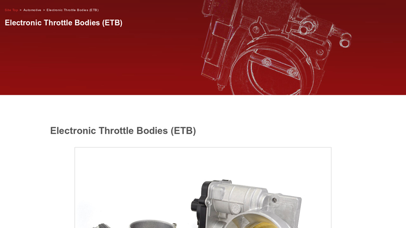 Electronic Throttle Bodies (ETB)