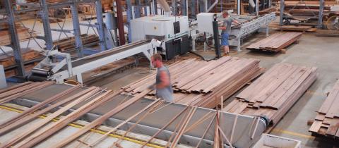 Elm Wood industry insight