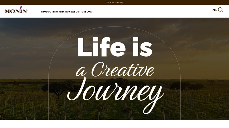 Embark on Flavorful Journeys with MONIN