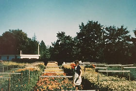 Emma's Garden Growers