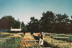 Emma's Garden Growers