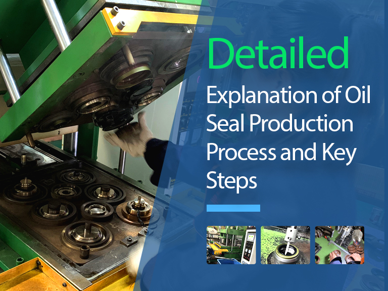 Engine Seal industry insight