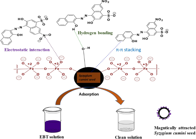 Eriochrome Black T industry insight