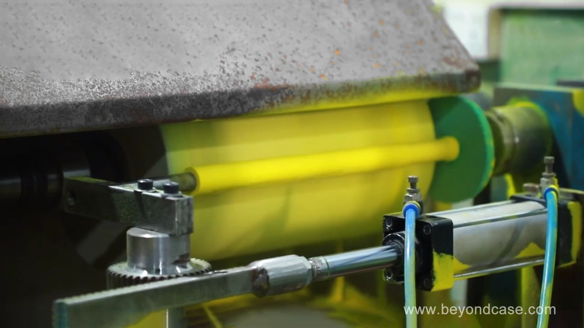 Eva Roller industry insight