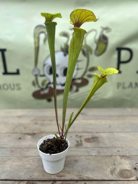 Evil Peat Plant Company