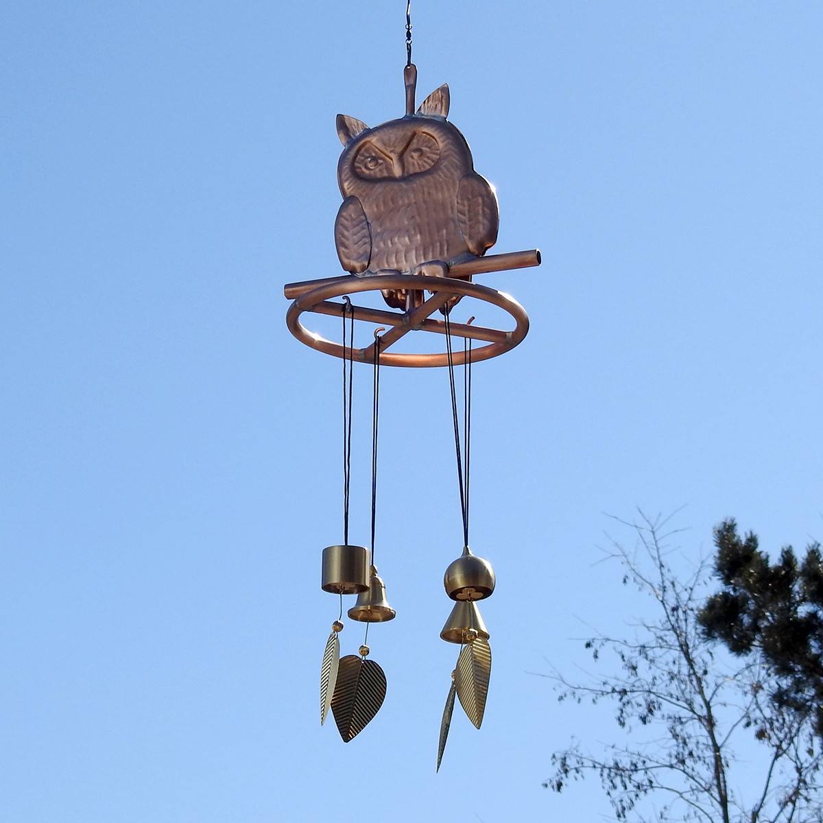 Experience the Magic