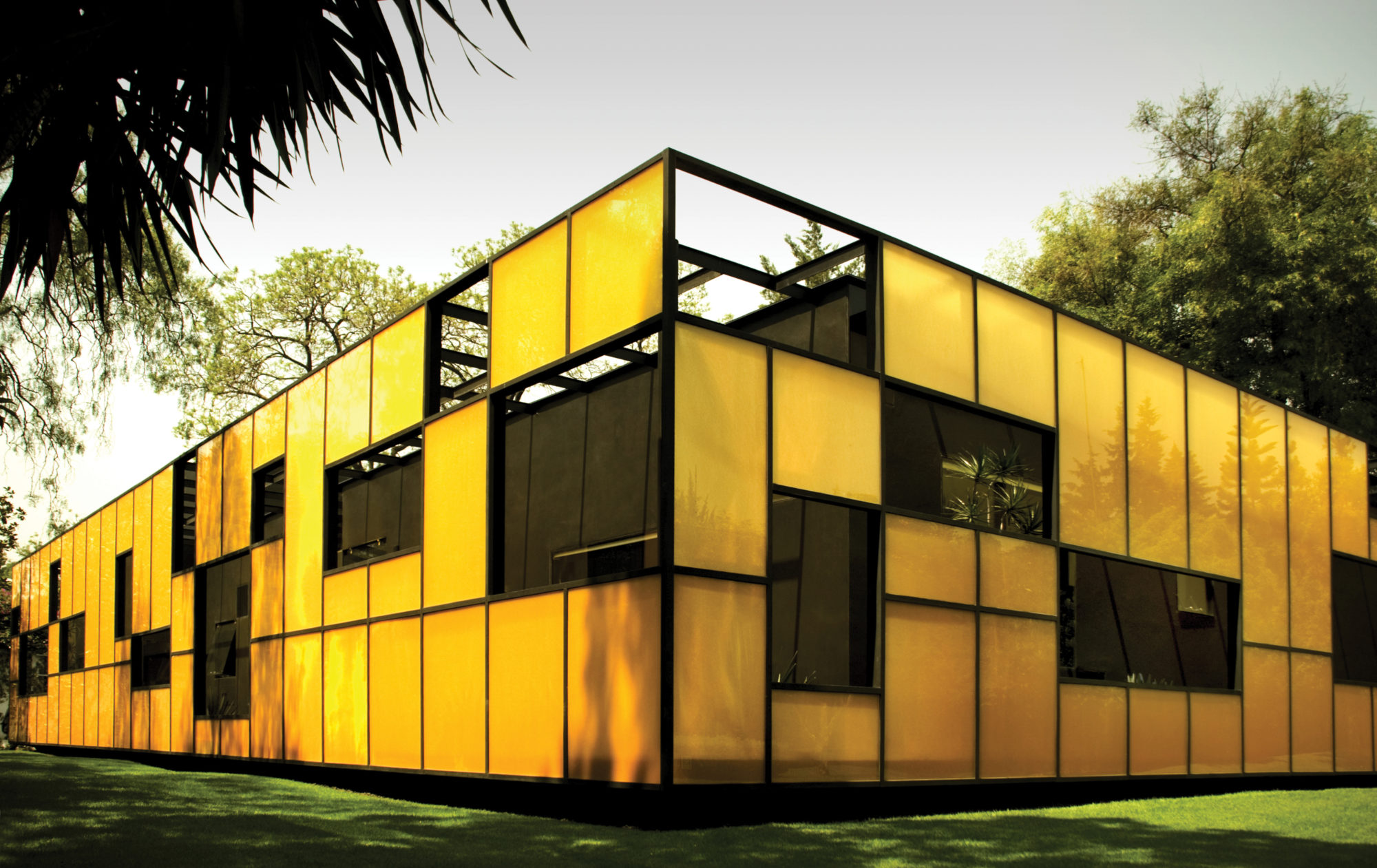 Falcon® Cell Culture Flasks