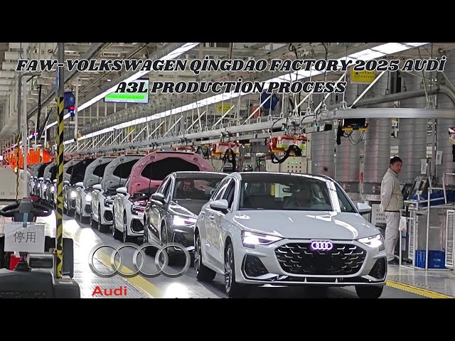 Faw Automobile Company industry insight