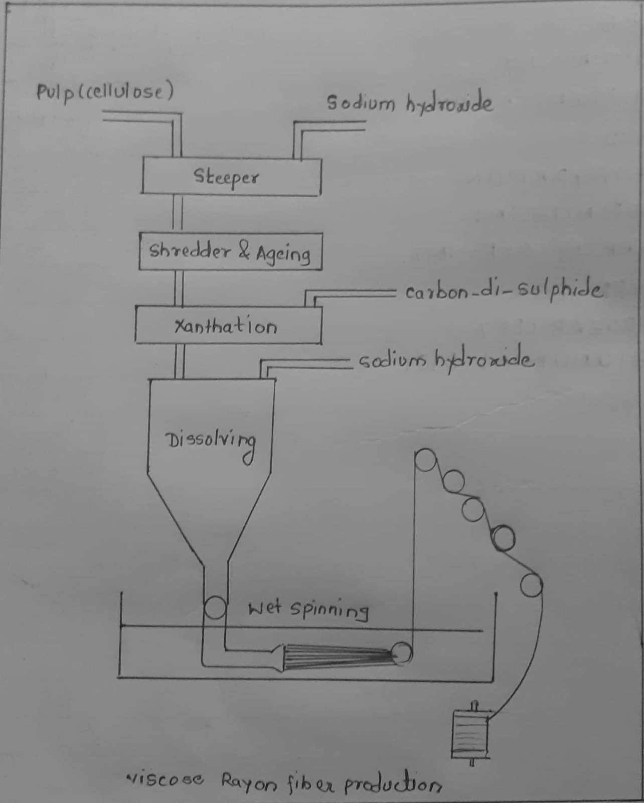 Fiber Rayon industry insight
