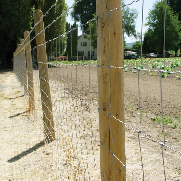 Field & Agricultural Fencing