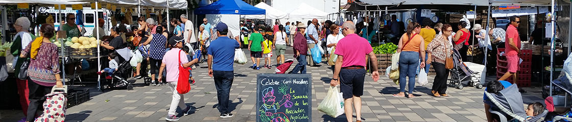 Find a Greenmarket or Farmstand