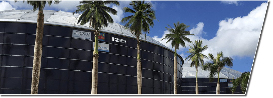 Find Your Distributor